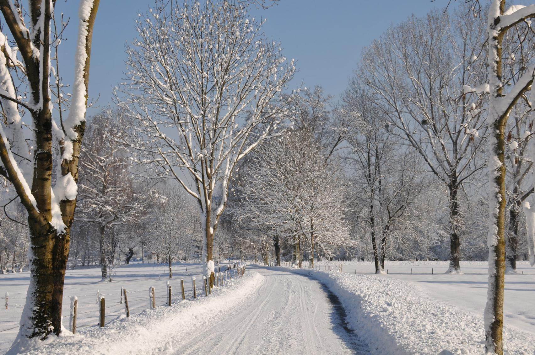 Lauteracher Ried im Winter