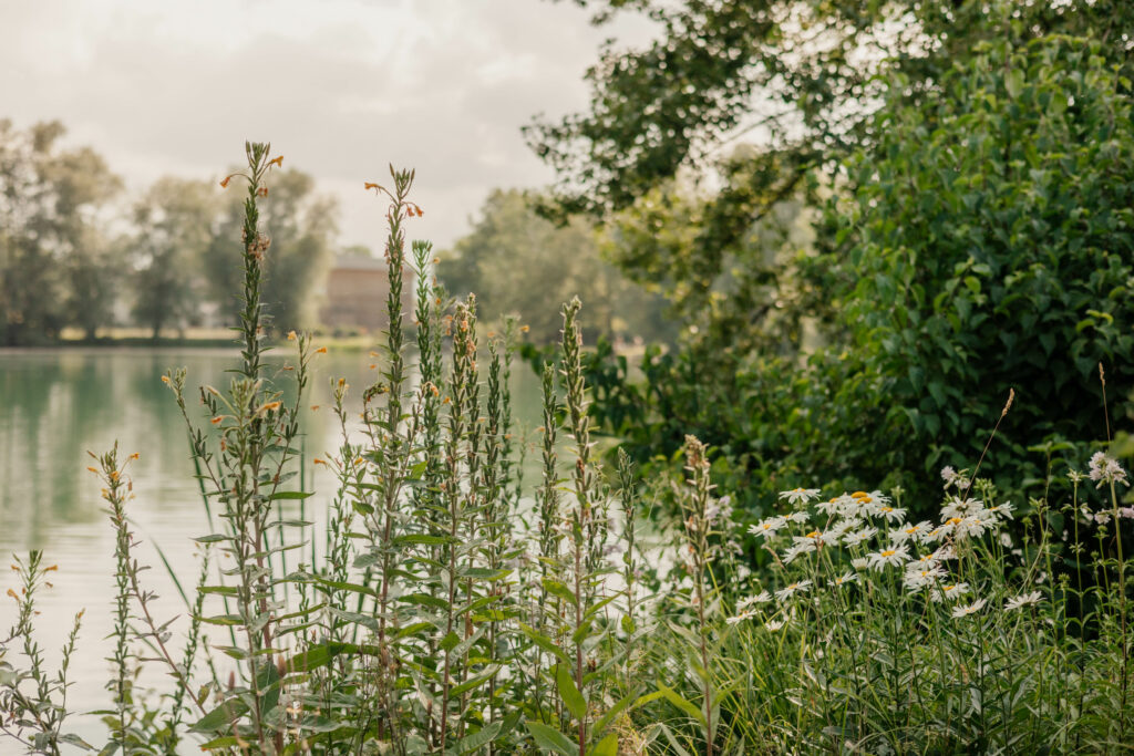 Umwelt in Lauterach, Foto: Kirstin Hauk