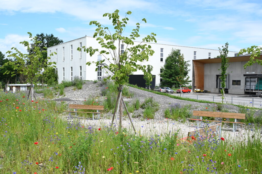 Bike Trail in Lauterach