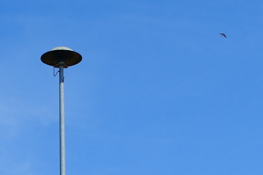 Das Bild zeigt eine Zivilschutz-Sirene vor blauem Himmel.